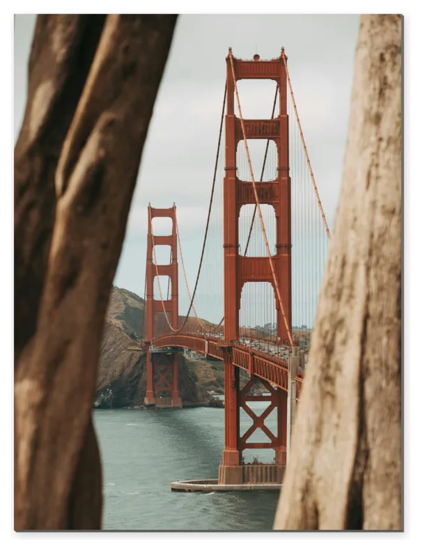 Golden Gate Bridge mezi kmeny stromů